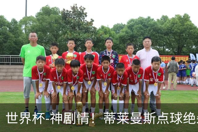 世界杯-神剧情！蒂莱曼斯点球绝杀 比利时加时3-2塞内加尔