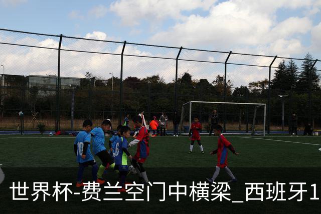 世界杯-费兰空门中横梁 西班牙12射4正半场暂0-0佛得角