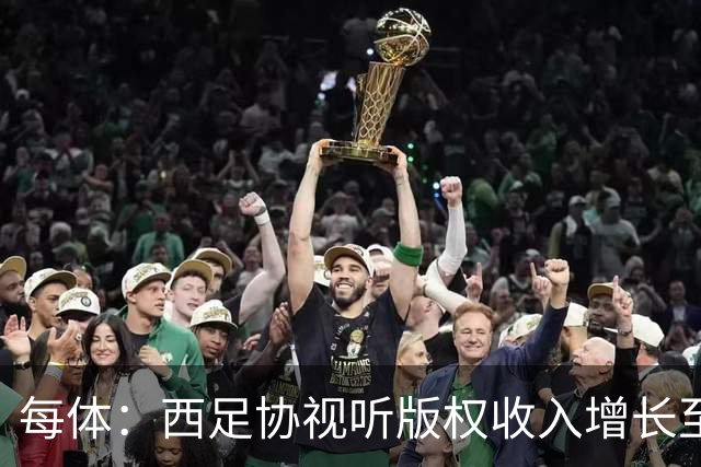 每体：西足协视听版权收入增长至1.173亿欧元 赞助也达8070万欧元