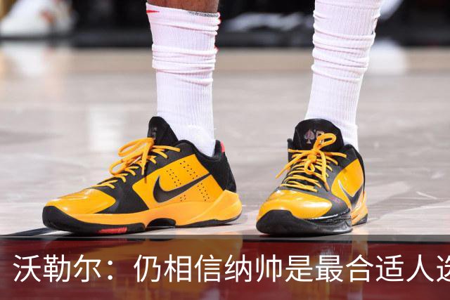 沃勒尔：仍相信纳帅是最合适人选 德国很难接受近3届世界杯表现
