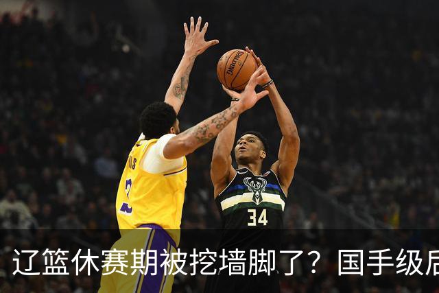 辽篮休赛期被挖墙脚了？国手级后卫恐被交易：变相逼着赵继伟走人